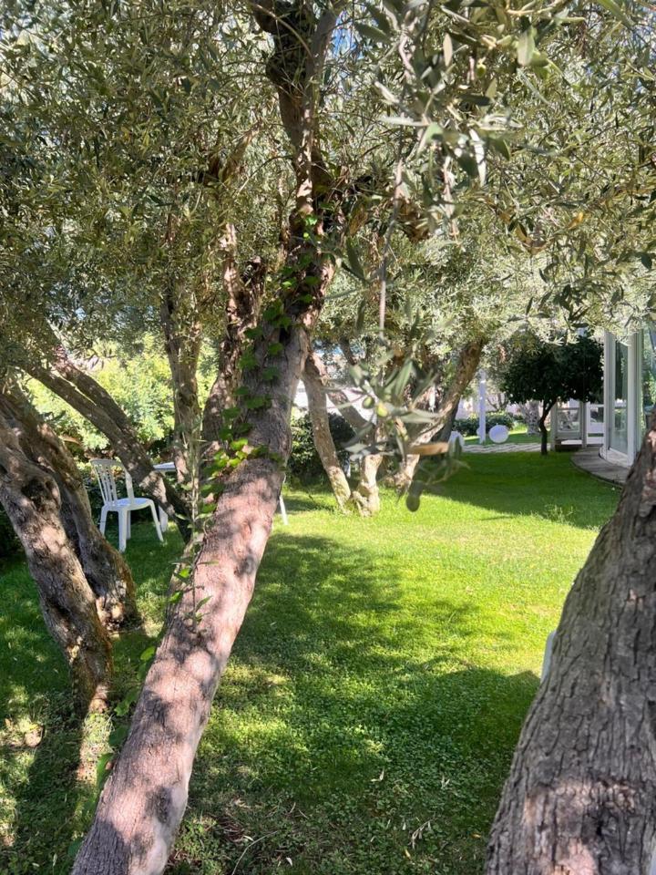 Villa Aurea Ispica Eksteriør billede