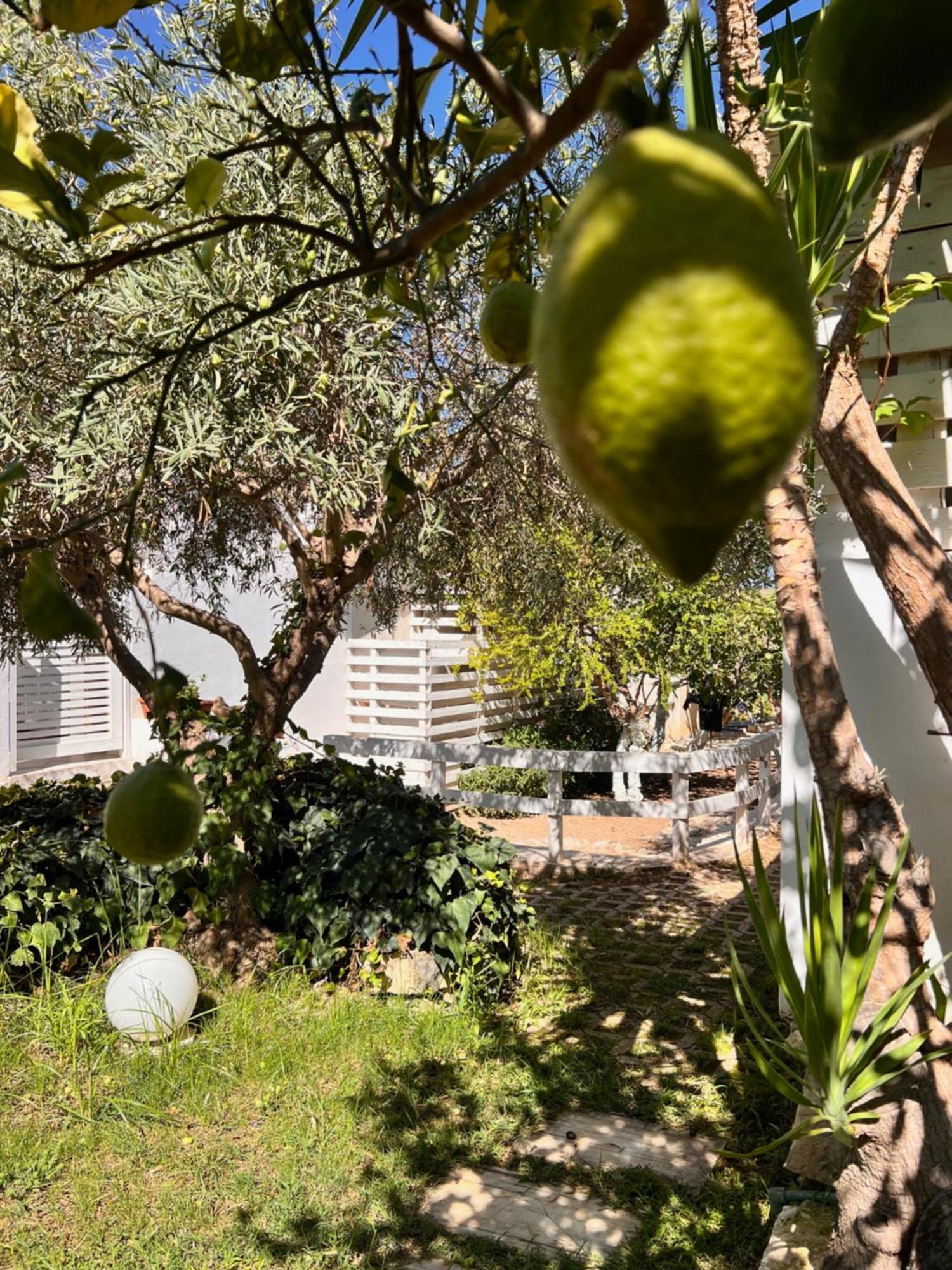 Villa Aurea Ispica Eksteriør billede