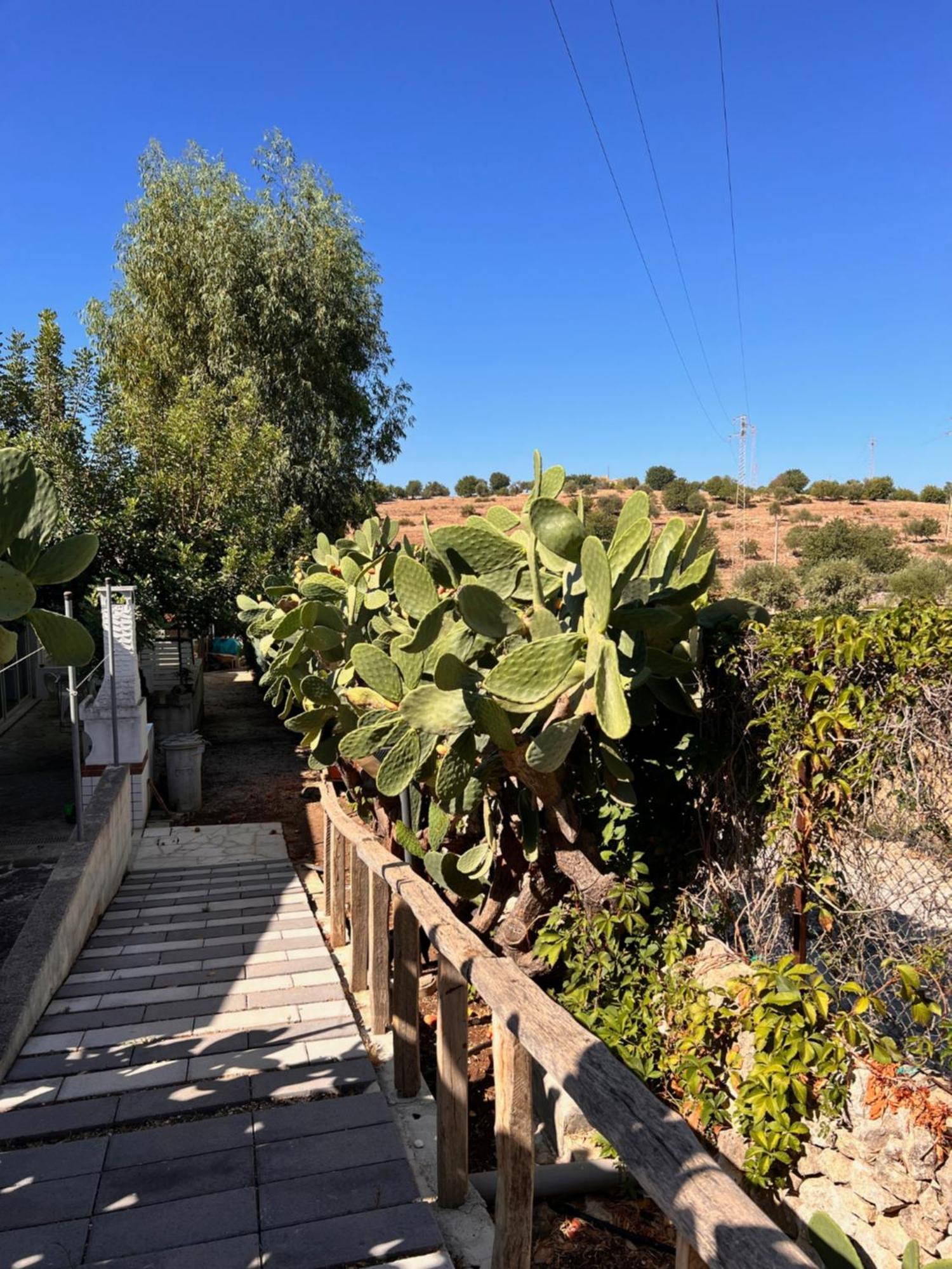 Villa Aurea Ispica Eksteriør billede